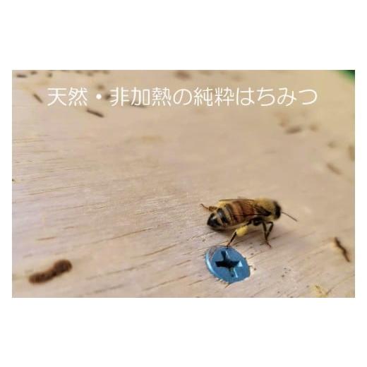 ふるさと納税 加工品等 はちみつ 岩手県 紫波町 純粋はちみつ 300g×2本（アカシア・百花蜜） (ES001)の画像