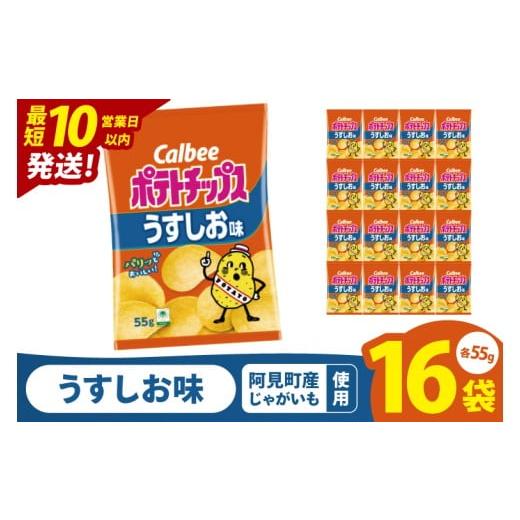 ふるさと納税 菓子 スナック 茨城県 阿見町 10営業日以内に出荷 カルビー ポテトチップスうすしお味(55g) 16個|Calbee お菓子 菓子 おやつ おかし ぽてち …