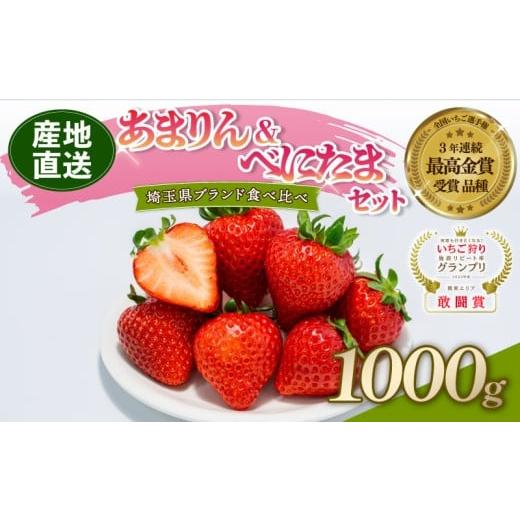 ふるさと納税 いちご 埼玉県 羽生市 予約 あまりん べにたま 食べ比べ セット 1000g いちご 苺 ストロベリー 産地直送 ご当地 果物 くだもの フルーツ デザー…