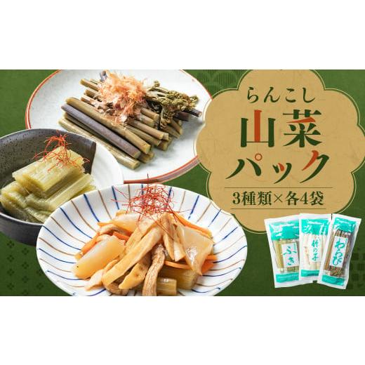 ふるさと納税 野菜類 山菜 北海道 蘭越町 らんこし山菜パック(無添加 ふき、竹の子、わらび)