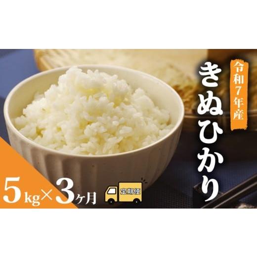ふるさと納税 米 滋賀県 竜王町 先行予約 令和7年産 新米 予約 米 キヌヒカリ 5kg 定期便 3ヶ月 きぬひかり お米 国産 定期 3か月 5kg × 3回 計 15kg 滋賀県…