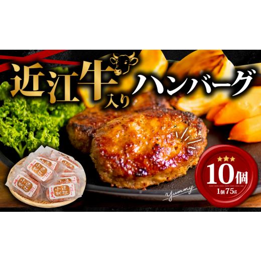 ふるさと納税 肉 ハンバーグ 滋賀県 竜王町 10月発送 近江牛 入り ハンバーグ 75g×10個 750g 冷凍 ギフト 肉 お取り寄せ はんばーぐ 黒毛和牛 贈答用 ごはん…