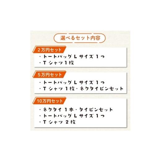 ふるさと納税 ファッション 高知県 須崎市 福袋 10万円 トートバッグ Tシャツ ネクタイピン バッグ 服 タイピン おまかせ デザイン 種類 須崎 高知県 高知 FO0…の画像