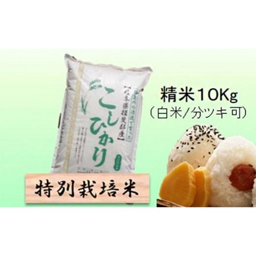 ふるさと納税 米 コシヒカリ 岐阜県 池田町 令和7年産 特別栽培米 10kg 白米、7分ツキ (コシヒカリ)白米   白米