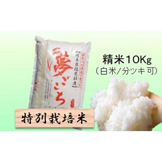 ふるさと納税 米 岐阜県 池田町 令和7年産 特別栽培米 10kg 白米、7分ツキ (夢ごこち)白米   白米