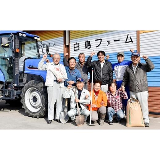 ふるさと納税 米 ミルキークイーン 岐阜県 池田町 定期便4カ月 令和7年産 特別栽培米5kg 白米 (ミルキークイーン) 米 お米 白米 コメ ご飯 定期 岐阜県 池田町…の画像