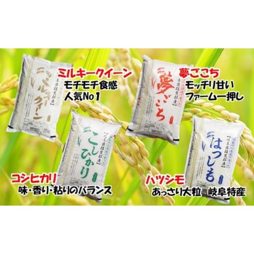 ふるさと納税 米 ミルキークイーン 岐阜県 池田町 定期便4カ月 令和7年産 特別栽培米5kg 白米 (ミルキークイーン) 米 お米 白米 コメ ご飯 定期 岐阜県 池田町…の画像