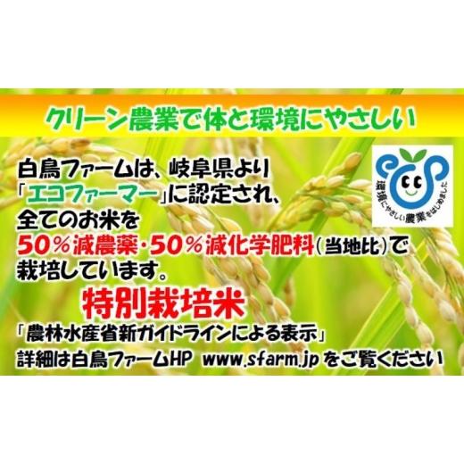 ふるさと納税 米 ミルキークイーン 岐阜県 池田町 定期便4カ月 令和7年産 特別栽培米5kg 白米 (ミルキークイーン) 米 お米 白米 コメ ご飯 定期 岐阜県 池田町…の画像