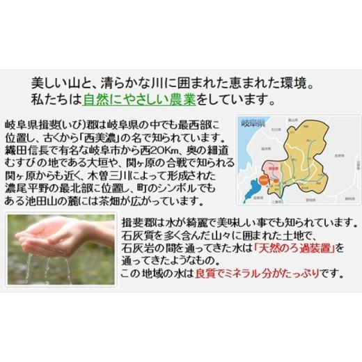 ふるさと納税 米 ミルキークイーン 岐阜県 池田町 定期便4カ月 令和7年産 特別栽培米5kg 白米 (ミルキークイーン) 米 お米 白米 コメ ご飯 定期 岐阜県 池田町…の画像