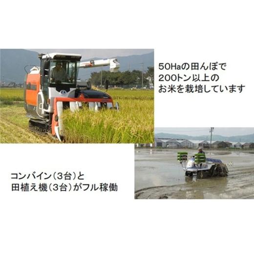 ふるさと納税 米 ミルキークイーン 岐阜県 池田町 定期便4カ月 令和7年産 特別栽培米5kg 白米 (ミルキークイーン) 米 お米 白米 コメ ご飯 定期 岐阜県 池田町…の画像