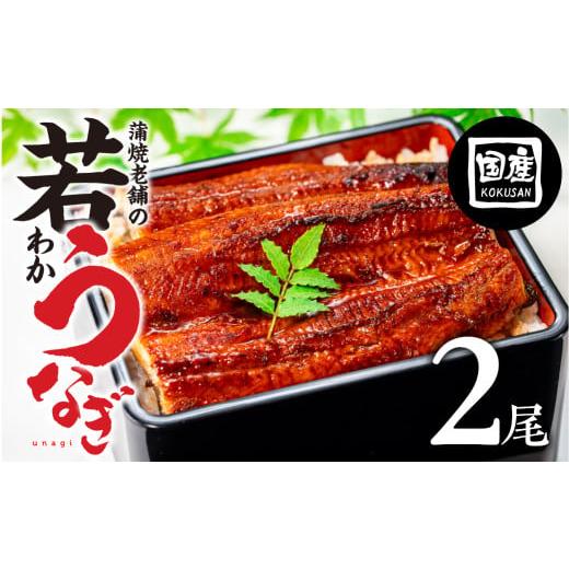 ふるさと納税 うなぎ 愛知県 豊橋市 土用の丑の日お届け 国産若うなぎ 2尾 老舗 国産うなぎ セット 詰め合わせ 蒲焼 ウナギ 2尾うなぎ 鰻 ウナギ unagi 土用 …