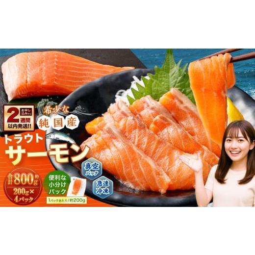 ふるさと納税 魚貝類 サーモン 北海道 小樽市 国産 トラウトサーモン 約800g (約200g×4パック) サーモン 新鮮 小分け 真空パック 急速凍結 国内養殖 冷凍