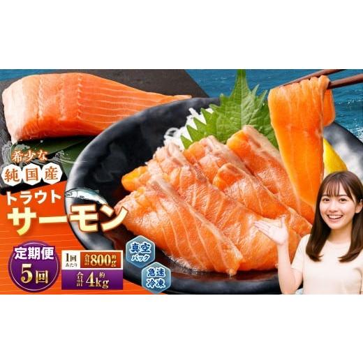 ふるさと納税 魚貝類 サーモン 北海道 小樽市 5回定期便 国産 トラウトサーモン 計約4kg (約200g×4パック)×5回 サーモン 新鮮 小分け 真空パック 急速凍…