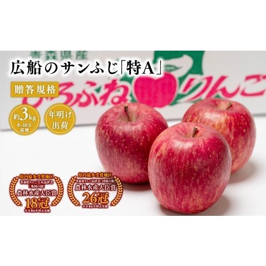 ふるさと納税 りんご 青森県 平川市 1~2月 青森県産 贈答規格 広船のサンふじ 約3kg「特A」 広船アップルクラブ サンふじ 青森県産 りんご 果物 フルーツ