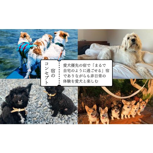 ふるさと納税 宿泊券 ペットと泊まる宿 三重県 鳥羽市 10-110ドッグにグッドなログハウス鳥羽ふるさと納税宿泊ギフト券（3000円分）伊勢志摩 愛犬宿泊 ペット … |  | 03