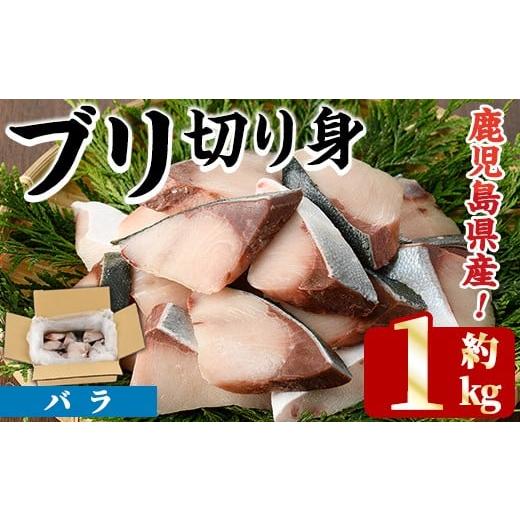 ふるさと納税 魚貝類 鹿児島県 阿久根市 先行予約受付中 2025年11月以降順次発送予定 ブリの切り身(バラ・約1kg) 国産 鹿児島県産 ブリ 鰤 魚貝 魚介 海産物 …