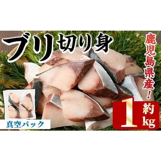 ふるさと納税 魚貝類 鹿児島県 阿久根市 先行予約受付中 2025年11月以降順次発送予定 ブリの切り身(真空パック・約1kg) 国産 鹿児島県産 ブリ 鰤 魚貝 魚介 …
