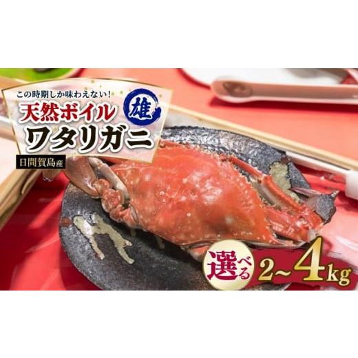 ふるさと納税 カニ 愛知県 南知多町 日間賀島産 ワタリガニ 2kg 雄 カニ わたりがに 渡り蟹 伊勢湾 日間賀島 新鮮 鮮度抜群 ふるさと納税カニ 美味しいカニ 美…