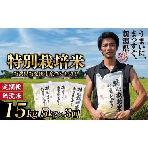 ふるさと納税 無洗米 新潟県 新発田市 定期便 コシヒカリ 無洗米 5kg 3ヵ月 15kg 令和7年産 特別栽培米 こしひかり 米 お米 こめ 新潟米 新潟県産 新潟産 新…