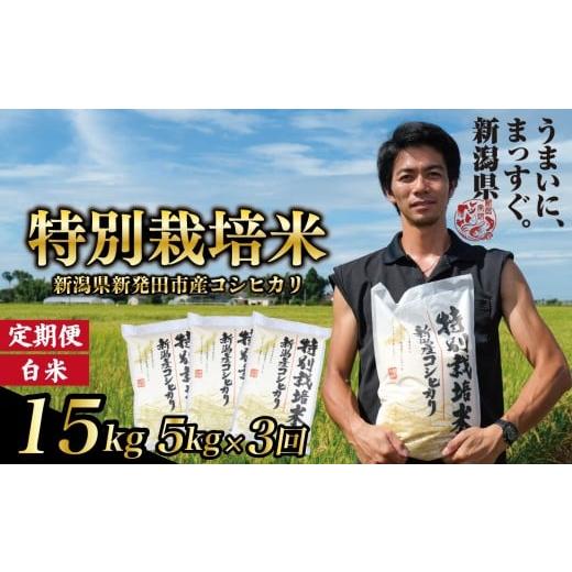 ふるさと納税 米 コシヒカリ 新潟県 新発田市 定期便 コシヒカリ 白米 5kg 3ヵ月 15kg 令和7年産 特別栽培米 こしひかり 米 お米 こめ 新潟米 新潟県産 新潟…