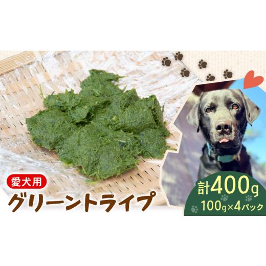 ふるさと納税 加工品等 滋賀県 日野町 犬用 シカ の グリーントライプ 100 g× 4 袋 ジビエ 鹿肉 肉 鹿 ペットフード ドッグフード ペット 安心 健康 おやつ …