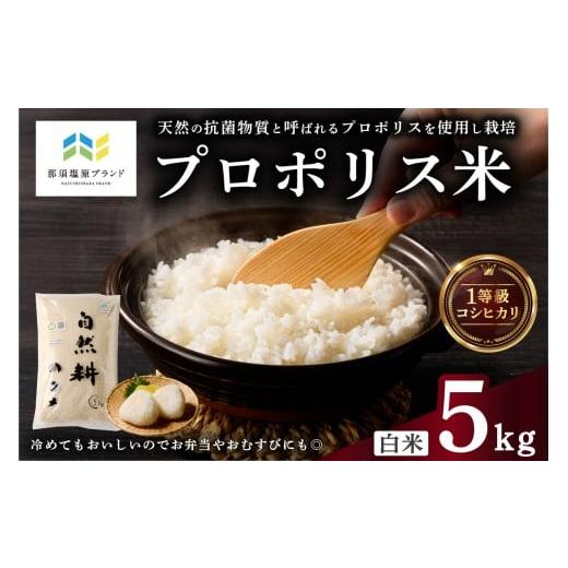 ふるさと納税 米 コシヒカリ 栃木県 那須塩原市 那須塩原ブランド認定品 プロポリス米(1等級コシヒカリ 白米5kg) 令和7年度産米 ns063-002 お米 プロポリス …
