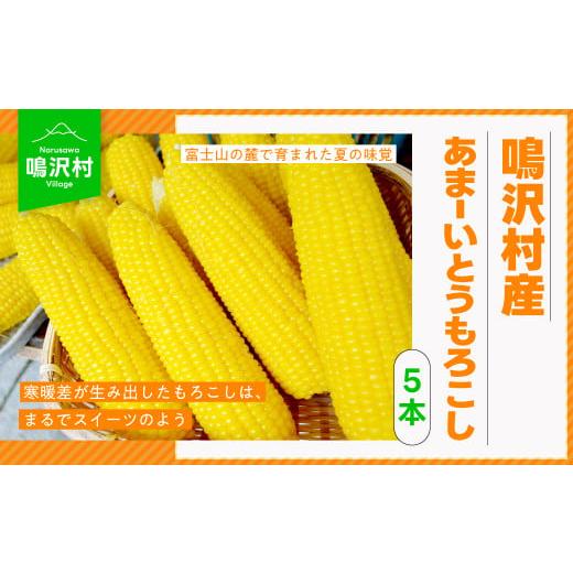 ふるさと納税 とうもろこし 山梨県 鳴沢村 2026年発送先行予約 鳴沢村産あまーいとうもろこし5本 2026年7月下旬~お盆中にかけて発送 NSJ017-a (1)2026年7月下…