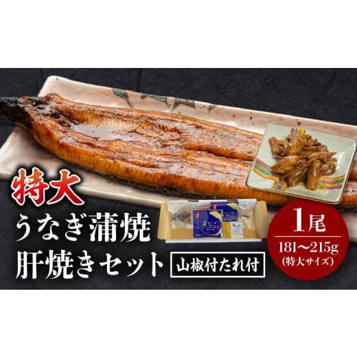 ふるさと納税 うなぎ 宮崎県 宮崎市 [2025年11月発送予定]国産うなぎ蒲焼(特大サイズ)・肝焼きセット_M069-015_01-nov 11月発送予定