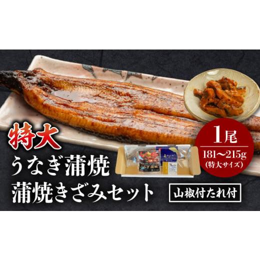 ふるさと納税 うなぎ 宮崎県 宮崎市 [2025年11月発送予定]国産うなぎ蒲焼(特大サイズ)・蒲焼きざみセット_M069-017_01-nov 11月発送予定