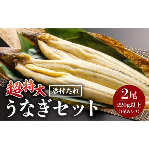 ふるさと納税 うなぎ 宮崎県 宮崎市 [2025年11月発送予定]うなぎ白焼(超特大サイズ) 2尾_M069-023-nov 11月発送予定
