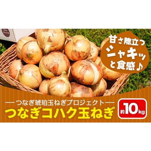 ふるさと納税 野菜類 玉ねぎ 熊本県 津奈木町 玉ねぎ つなぎコハク玉ねぎ 約10kg[4月中旬-5月中旬出荷]熊本県 葦北郡 津奈木町 つなぎ琥珀玉ねぎプロジェク…