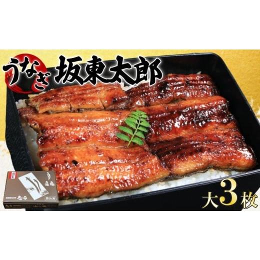 ふるさと納税 うなぎ 千葉県 銚子市 うなぎ 蒲焼 坂東太郎 大 3枚 鰻 鰻蒲焼 たれ 国産 化粧箱入り レトルト 惣菜 特別 人気 化粧箱入り タレ 山椒 スタミナ …