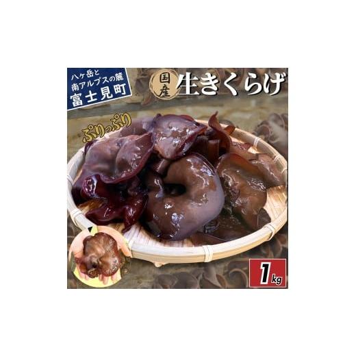 ふるさと納税 野菜類 長野県 富士見町 2026年先行予約 肉厚 ぷりぷりコリコリ 生きくらげ 1kg 八ヶ岳山麓育ち 国産 安心安全 農薬不使用 ハウス栽培 食物繊維…