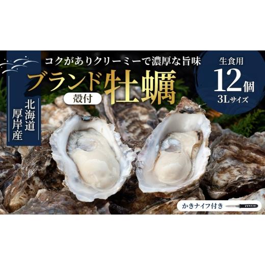 ふるさと納税 牡蠣 生牡蠣 北海道 厚岸町 北海道厚岸産 生食用 殻付カキ 3Lサイズ 12個　マルえもん 魚貝類 海の幸 海のミルク 海鮮 国産 北海道産 オイスター…_1
