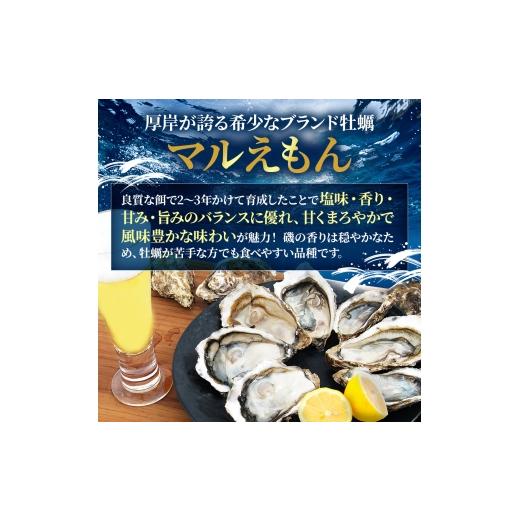 ふるさと納税 牡蠣 生牡蠣 北海道 厚岸町 北海道厚岸産 生食用 殻付カキ 3Lサイズ 12個　マルえもん 魚貝類 海の幸 海のミルク 海鮮 国産 北海道産 オイスター…_4