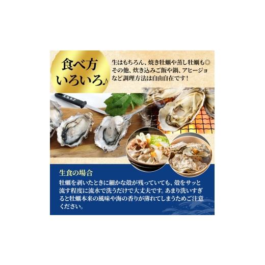 ふるさと納税 牡蠣 生牡蠣 北海道 厚岸町 北海道厚岸産 生食用 殻付カキ 3Lサイズ 12個　マルえもん 魚貝類 海の幸 海のミルク 海鮮 国産 北海道産 オイスター…_7