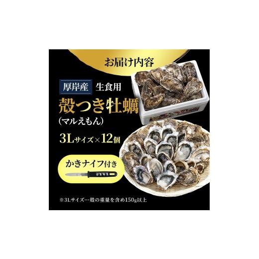 ふるさと納税 牡蠣 生牡蠣 北海道 厚岸町 北海道厚岸産 生食用 殻付カキ 3Lサイズ 12個　マルえもん 魚貝類 海の幸 海のミルク 海鮮 国産 北海道産 オイスター…_8
