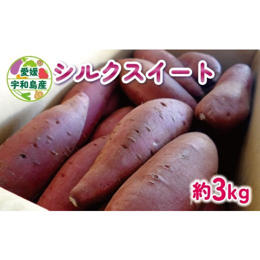ふるさと納税 野菜類 サツマイモ 愛媛県 宇和島市 さつまいも シルクスイート 3kg あかだ農園 先行予約 さつま芋 サツマイモ 焼き芋 焼きいも 焼いも おやつ …