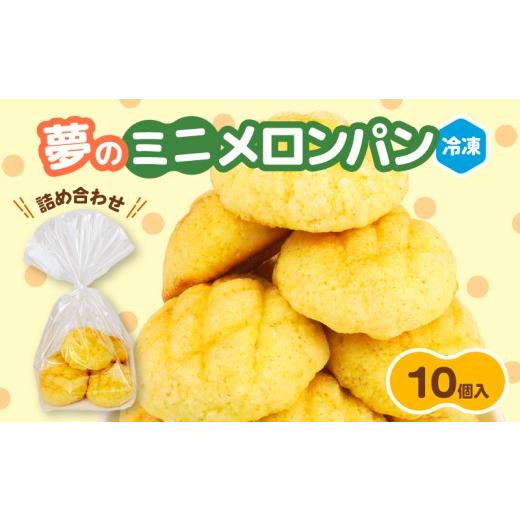 ふるさと納税 パン 菓子パン 新潟県 新発田市 ミニメロンパン 詰め合わせ 10個 冷凍 パン ミニ メロンパン 詰合せ パン詰め合わせ おやつ 朝食 モーニング パ…