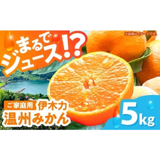 ふるさと納税 果物類 みかん 長崎県 諫早市 伊木力温州みかん5kg(ご家庭用、箱入り) / 伊木力 温州みかん みかん ミカン 蜜柑 佐瀬 諫早 多良見 長崎 / 末永…
