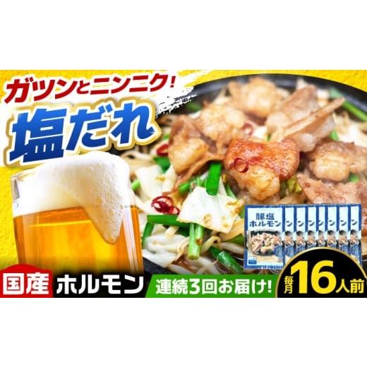 ふるさと納税 豚肉 ホルモン 岐阜県 御嵩町 3回定期便 岐阜県産豚もつの鉄板焼き「元祖みたけとんちゃん」豚塩味 8袋(16人前) / モツ もつ 白もつ ホルモ…