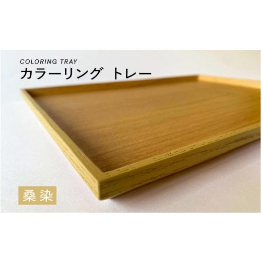 ふるさと納税 食器・グラス 福井県 鯖江市 選べるカラー カラーリング トレー 桑染(くわぞめ) B-00820c / 食卓 トレー お盆 配膳 テーブルトレー キッチン…