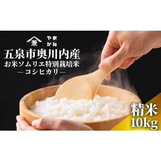 ふるさと納税 米 コシヒカリ 新潟県 五泉市 令和7年産 新米 米 10kg ( 5kg × 2袋 ) 五泉市奥川内産 コシヒカリ お米ソムリエ 特別栽培米 | 白米 精米 こしひ…