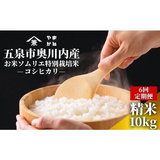 ふるさと納税 米 コシヒカリ 新潟県 五泉市 令和7年産 新米 定期便 6ヶ月 米 10kg ( 5kg × 2袋 ) × 6回 五泉市奥川内産 コシヒカリ お米ソムリエ 特別栽培米…