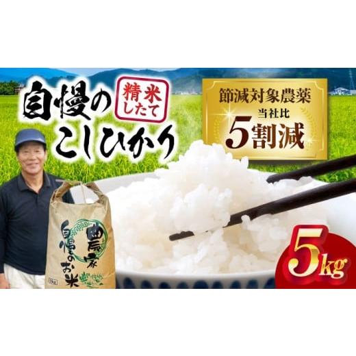 ふるさと納税 米 コシヒカリ 滋賀県 長浜市 令和7年産新米 コシヒカリ 5kg 環境こだわり農産物 滋賀県長浜市/狩野農園 AQDK001 米 白米 こしひかり コシヒカ…
