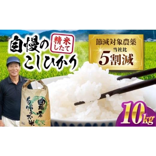 ふるさと納税 米 コシヒカリ 滋賀県 長浜市 令和7年産新米 コシヒカリ 10kg 環境こだわり農産物 滋賀県長浜市/狩野農園 AQDK002 米 白米 こしひかり コシヒ…