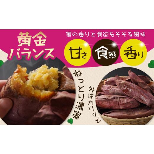 ふるさと納税 野菜類 サツマイモ 宮崎県 都城市  訳あり おいも職人 甘三郎 紅はるかの甘熟 蜜焼き芋(冷凍)3kg_12-I703_(都城市) スイーツ ひんやり やきいも …の画像