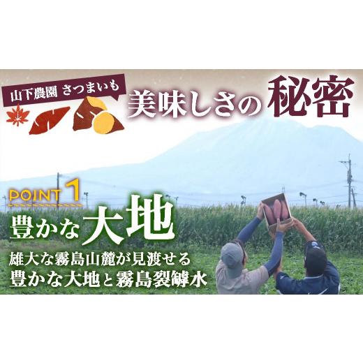 ふるさと納税 野菜類 サツマイモ 宮崎県 都城市  訳あり おいも職人 甘三郎 紅はるかの甘熟 蜜焼き芋(冷凍)3kg_12-I703_(都城市) スイーツ ひんやり やきいも …の画像