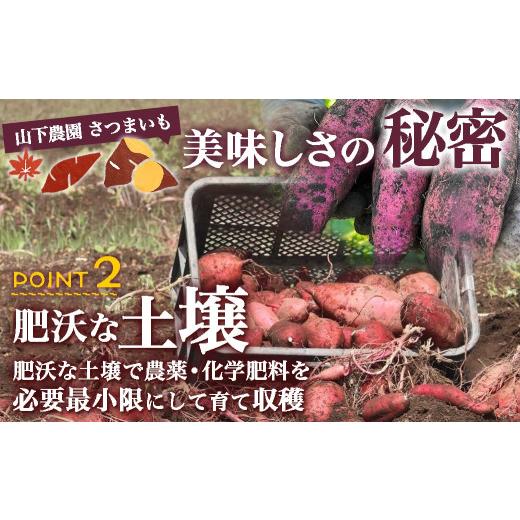 ふるさと納税 野菜類 サツマイモ 宮崎県 都城市  訳あり おいも職人 甘三郎 紅はるかの甘熟 蜜焼き芋(冷凍)3kg_12-I703_(都城市) スイーツ ひんやり やきいも …の画像