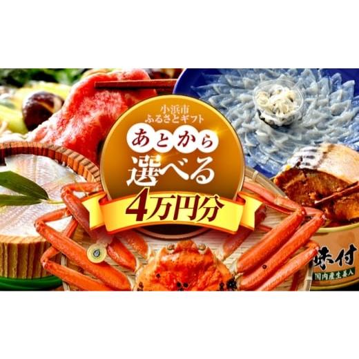 ふるさと納税 フグ 福井県 小浜市 あとから選べる 福井県小浜市ふるさとギフト 4万円分 海産物 箸 お米 スイーツ あとから ギフト